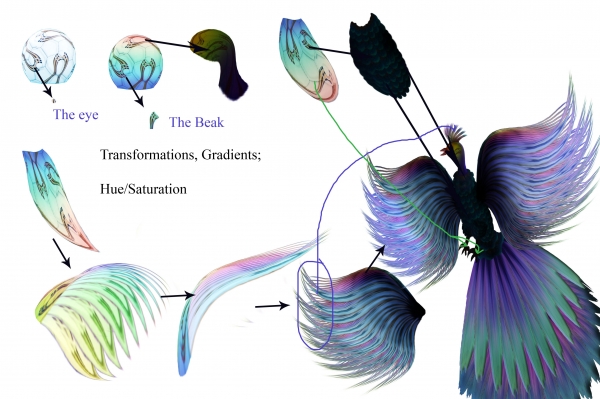 Creation of Bird: Step 1